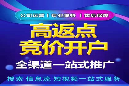 百度推广实战：成功企业的营销策略